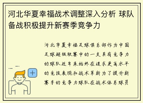 河北华夏幸福战术调整深入分析 球队备战积极提升新赛季竞争力